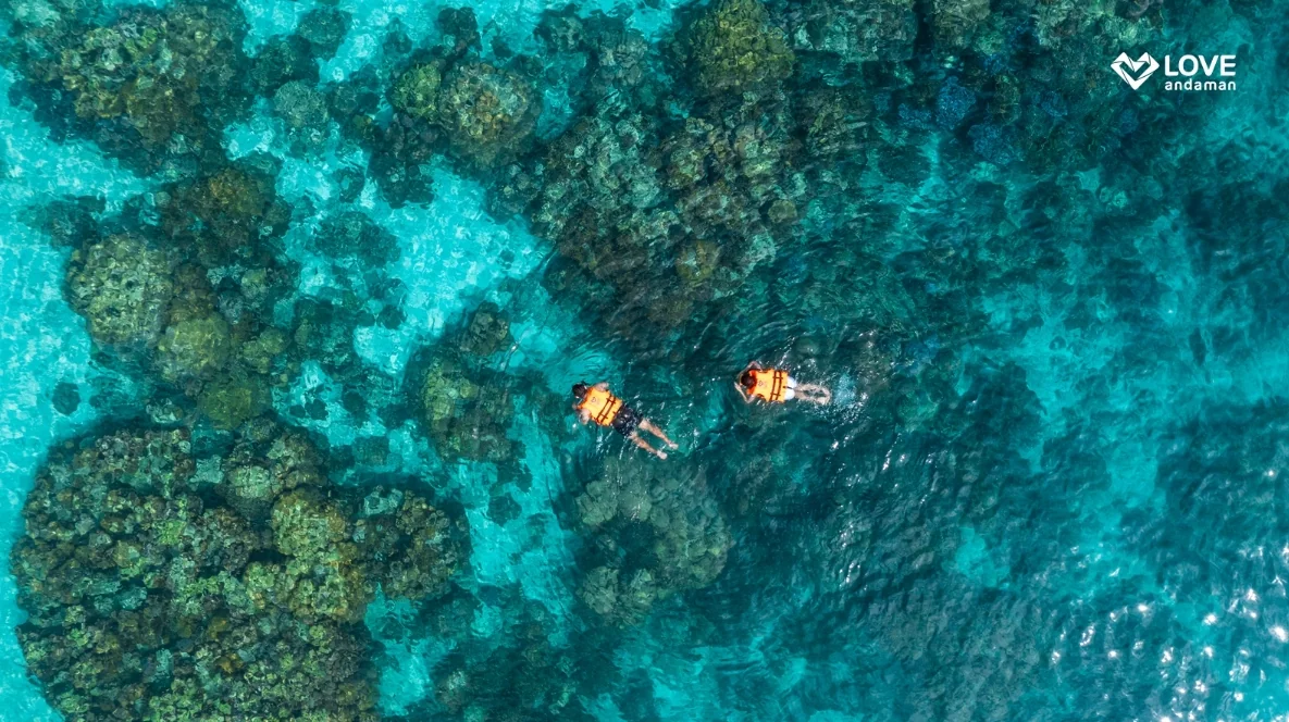 Surin Island (Speed Cantamaran) + Lunch + (National Park Fee) + SIC Transfer — image 9