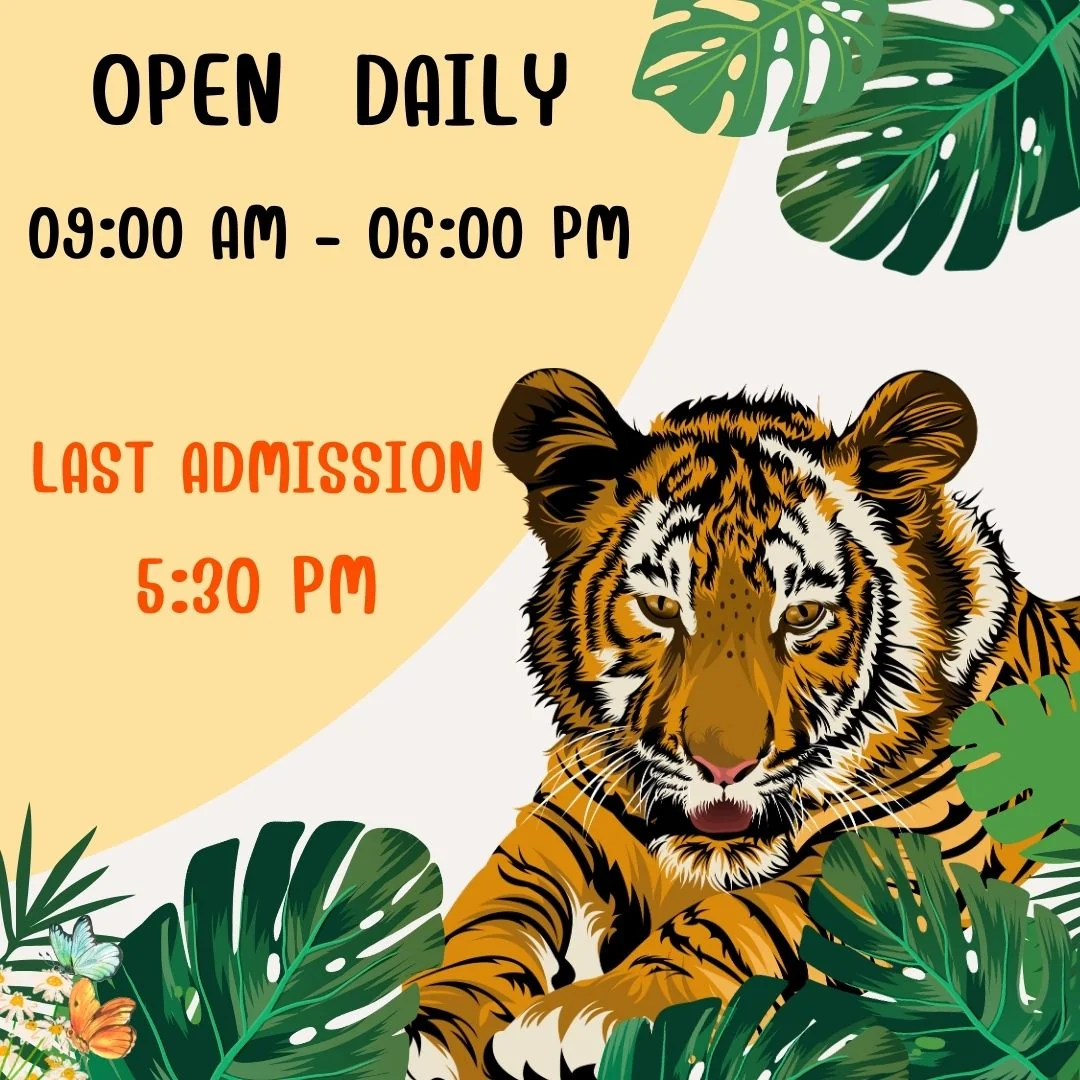 (Car) Phuket Hotel - Phuket Airport + Enroute Tiger (not include Tiger Ticket) — image 2