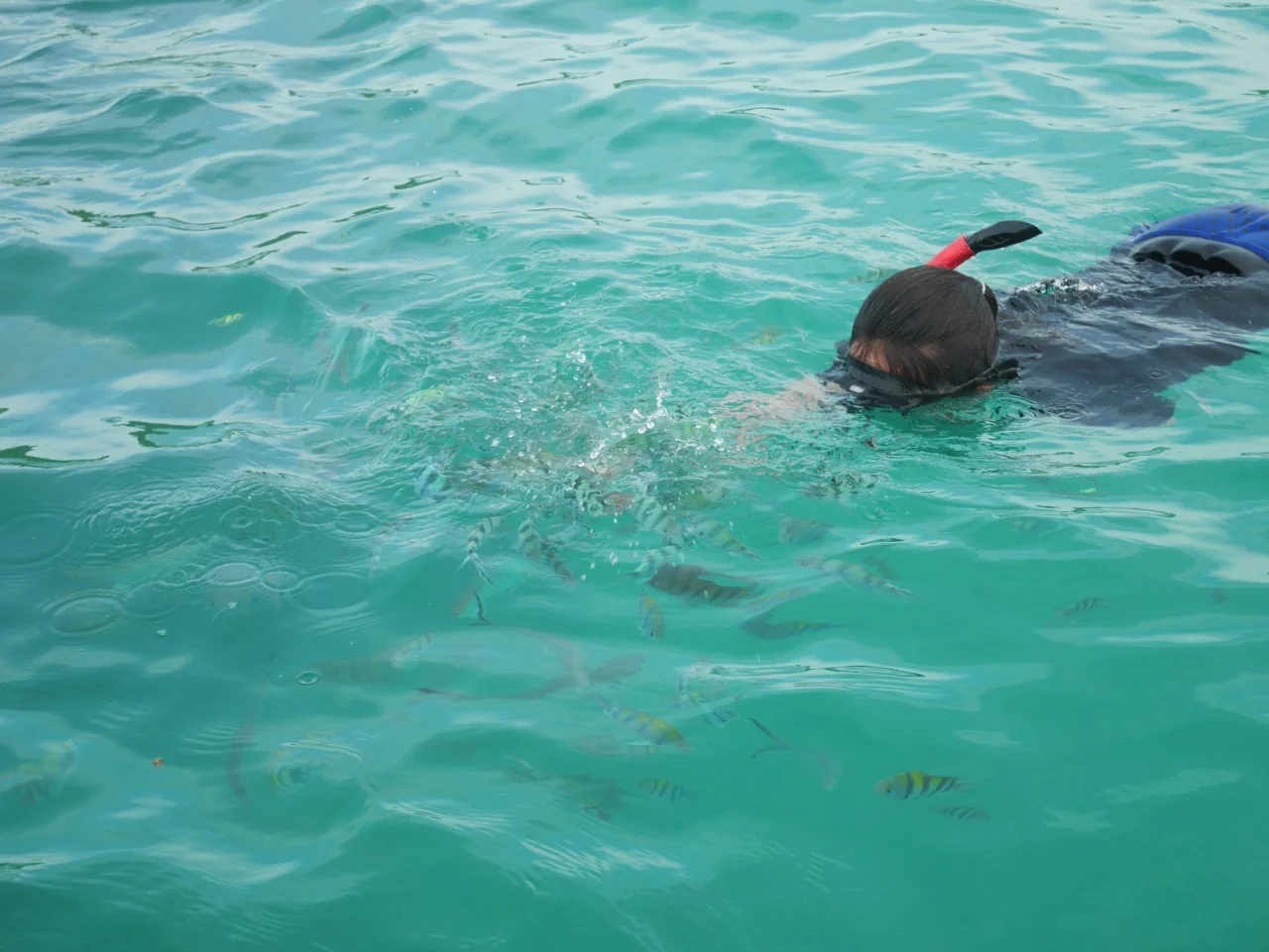 Luxury Longtail Boat (Private) - Koh Tan & Koh Mudsum  4 hours  (5-6 pax) (Exclude admission fee, Transfer) — image 11