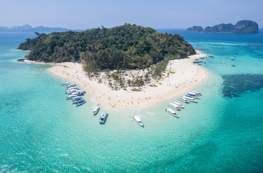 Phi Phi Island + Bamboo Island + Sunset Maiton by Speed Catamaran + Lunch + SIC Transfer & Longtail boat (Include Park Fee) — image 10