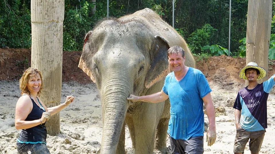 Samui Elephant Spa + Transfer  — image 4