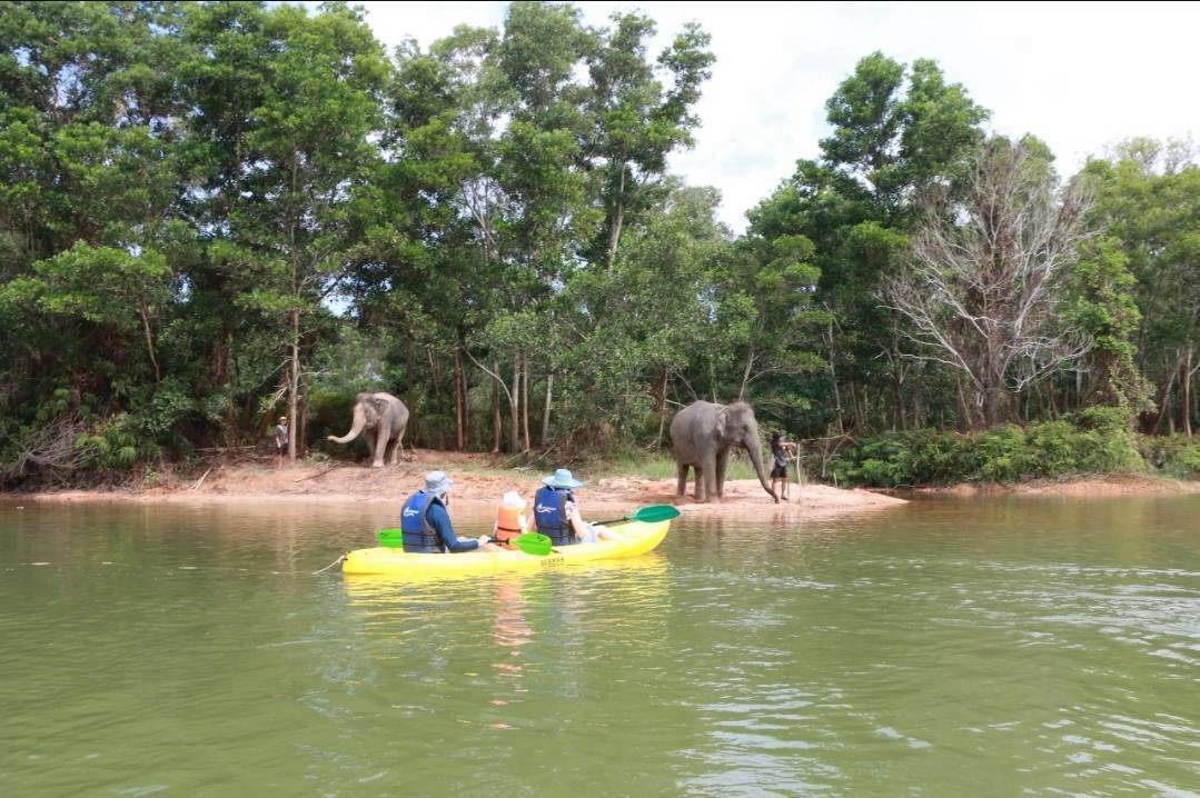 The Lake Phuket Elephant Home - Elephant Nature Walk & Explore Elephant by Kayak (Program C)  — image 2