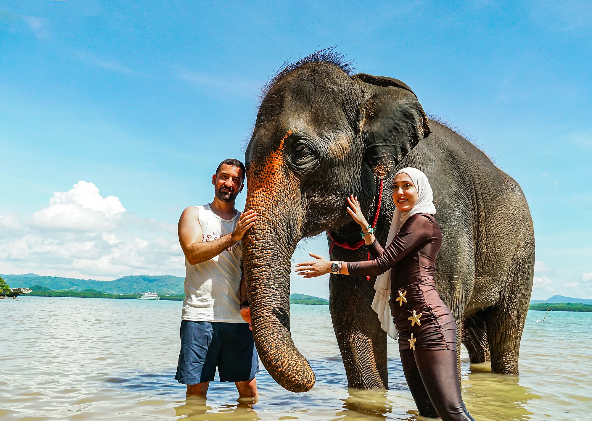Feed & Bath at The Private Beach + SIC Transfer (2.5 - 3 hours) — image 7