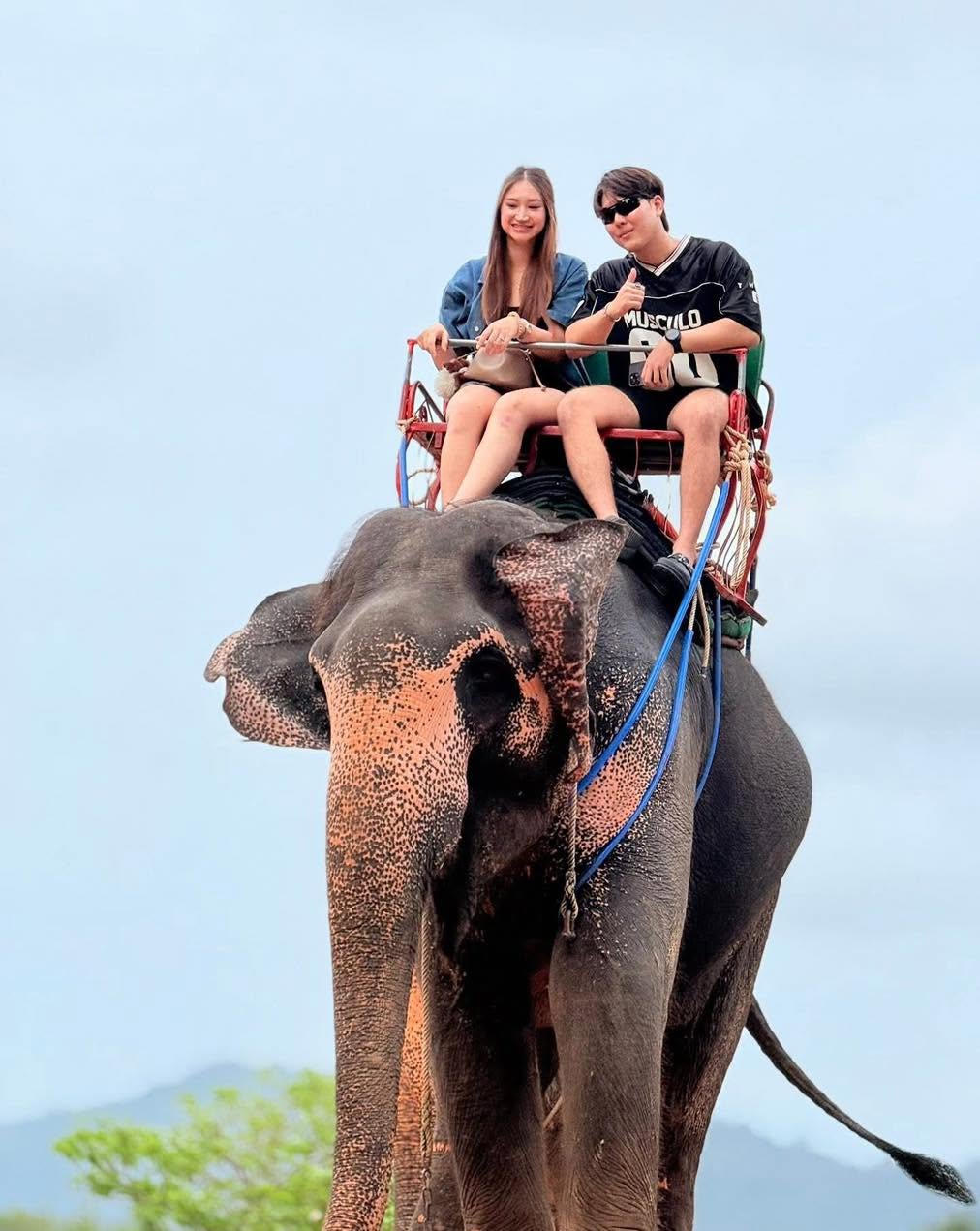 Elephant Trekking 1 hour — image 6