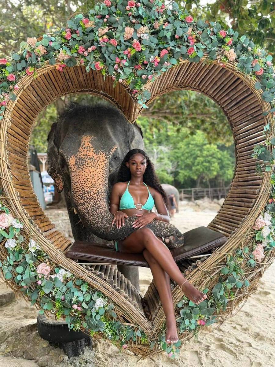 Take Photo & Ride Elephant on the Beach 15 minutes + SIC Transfer (Include Entrance Fee) (Option package) — image 6