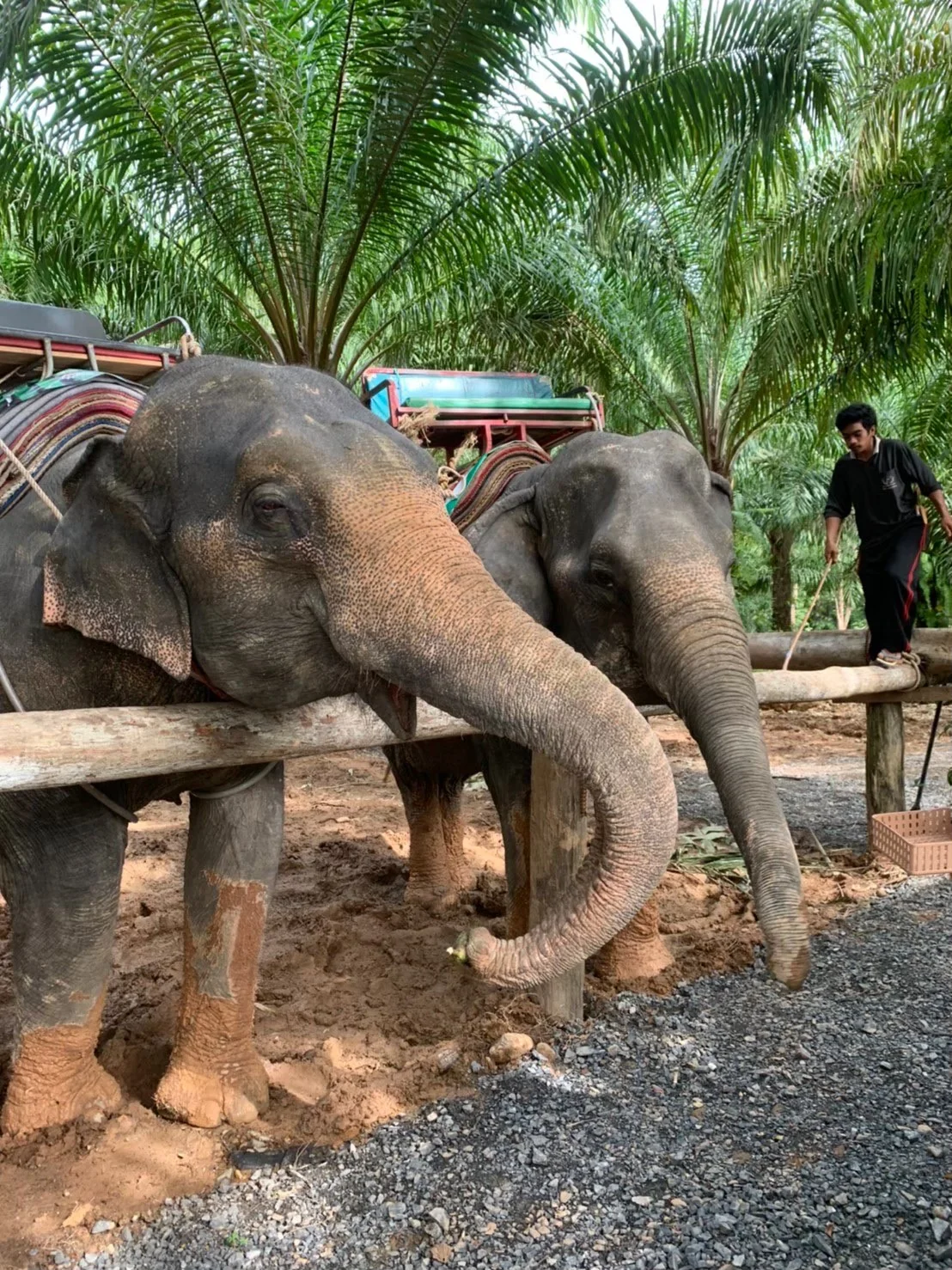 White Water Rafting (5 Km.) + Lunch + Zipline + SIC Transfer (Incl. Elephant Trekking 30 mins. & ATV Ride 30 mins.) — image 27