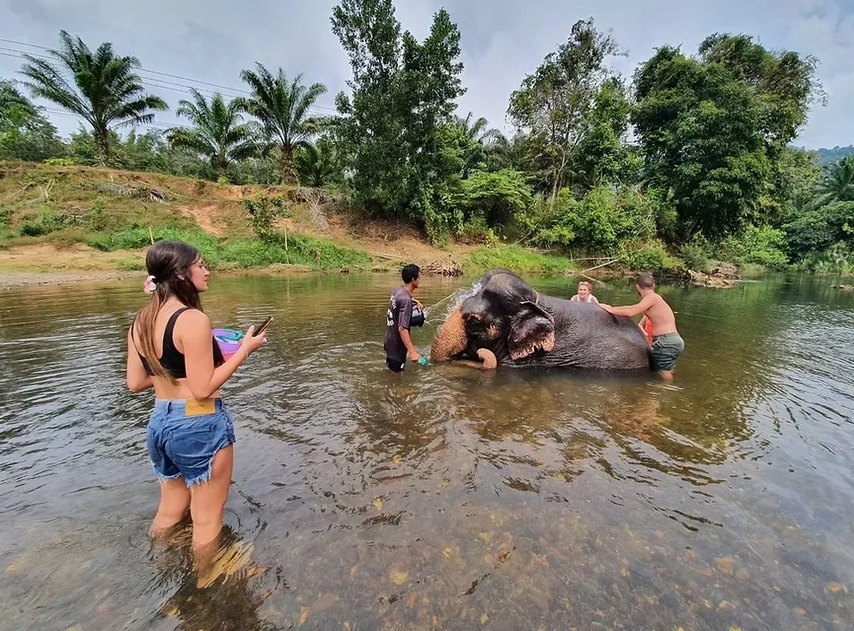 Khao Sok - 1 Day Tour - (Elephant Bathing, Canoeing) + Lunch + National Park Fee + SIC Transfer - (Pick up Phuket) — image 7