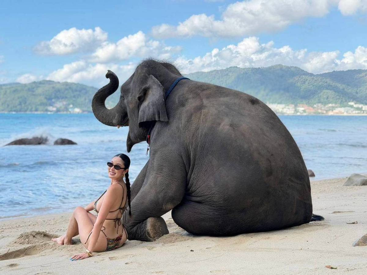Take Photo & Ride Elephant on the Beach 15 minutes (Option package), Tri Trang + SIC Transfer (Include Entrance Fee) — image 5