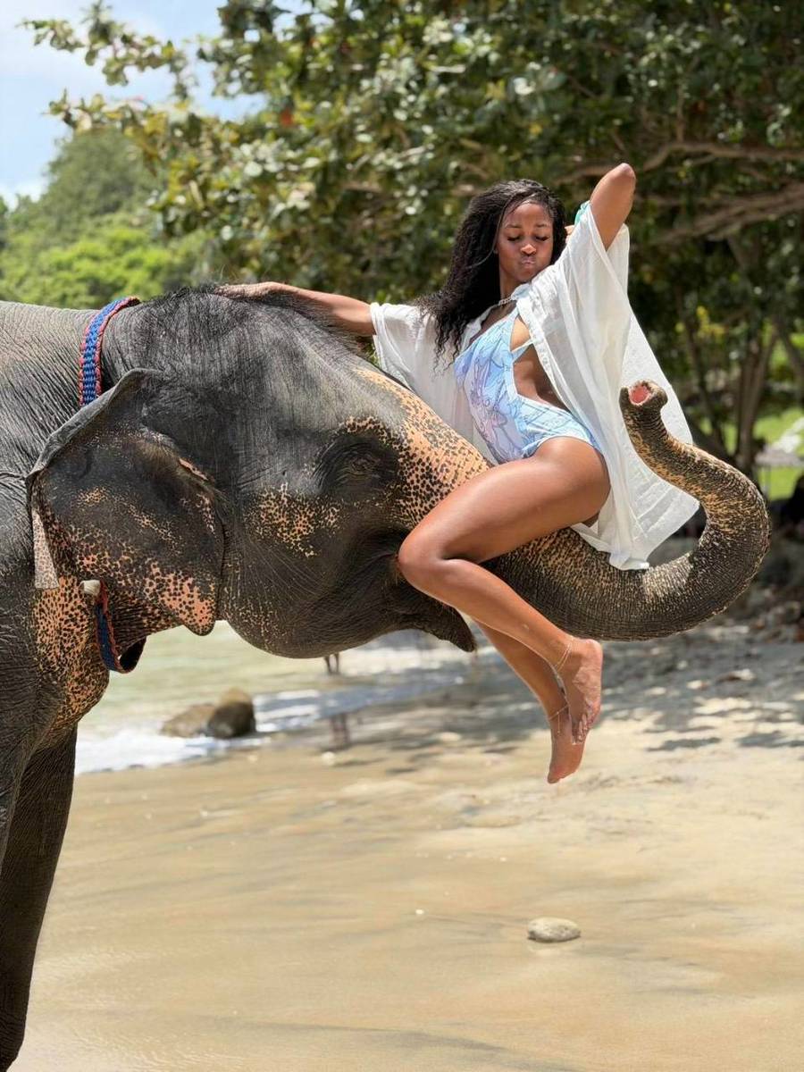 Take Photo & Ride Elephant on the Beach 15 minutes + SIC Transfer (Include Entrance Fee) (Option package) — image 1