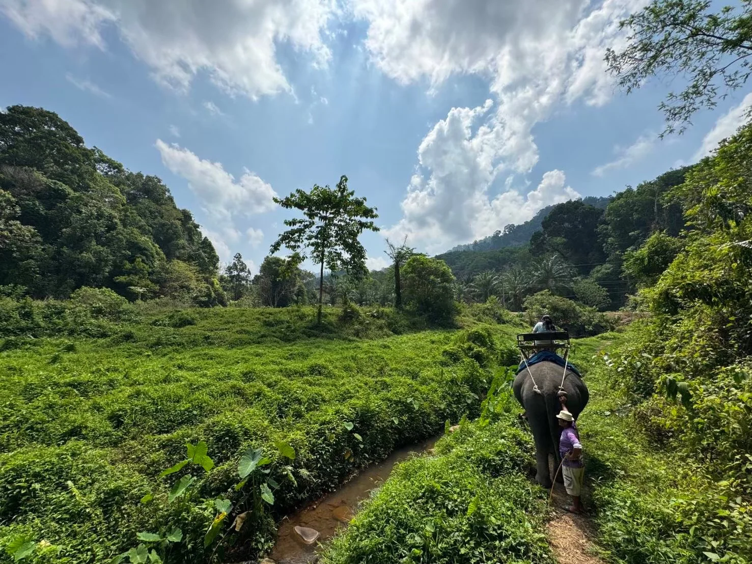 White Water Rafting 5.5 Km. + Elephant Trek 30 mins. + ATV 30 mins. + Waterfall + Lunch + Transfer — image 30