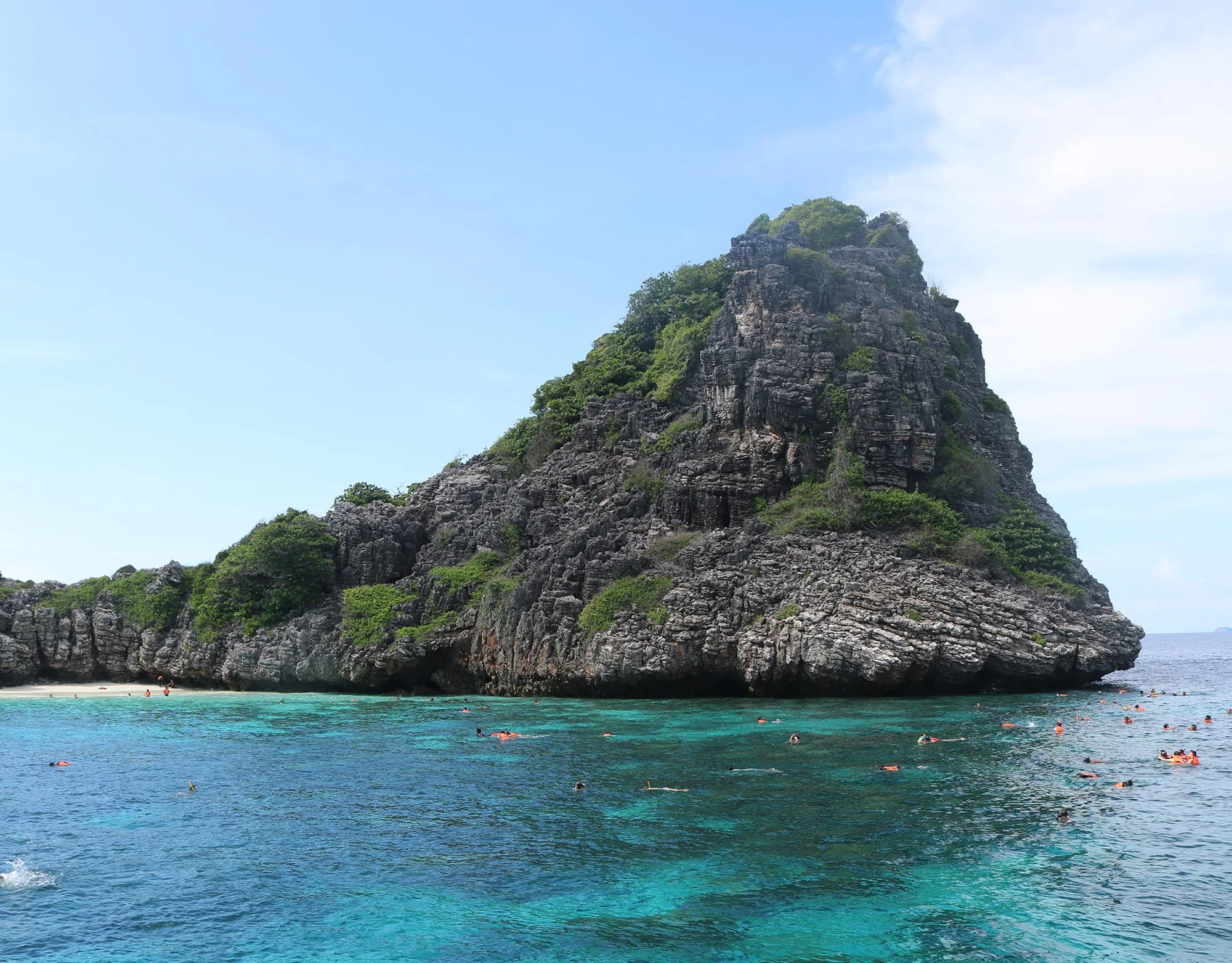 Koh Rok + Koh Ha Island  (By Speed Boat) + Lunch + SIC Transfer (Not Incl. National Park Fee) (Depart from Lanta Island) — image 3