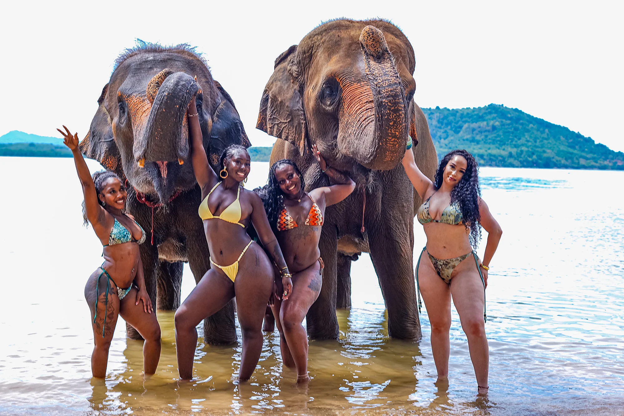 Feed & Bath at The Private Beach + SIC Transfer (2.5 - 3 hours) — image 2