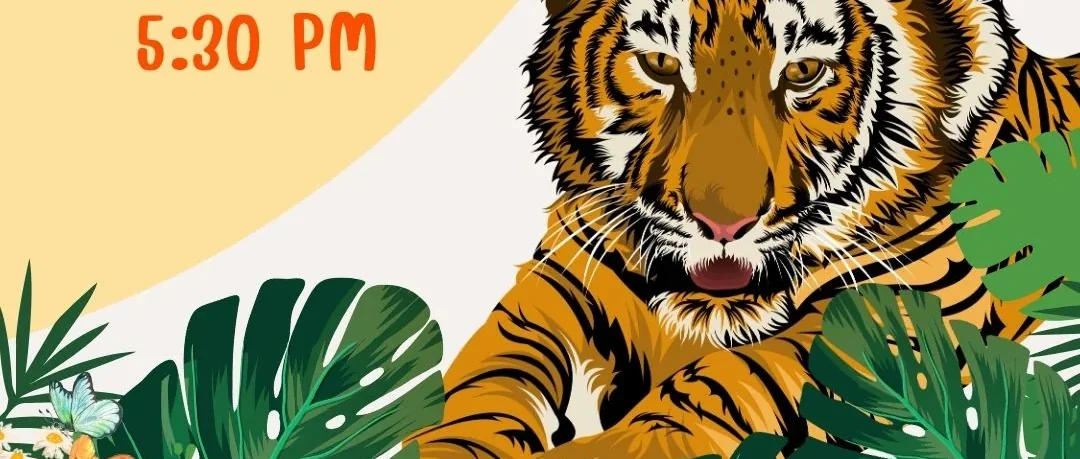 Round-trip van transfer from a Phuket hotel to Tiger Kingdom