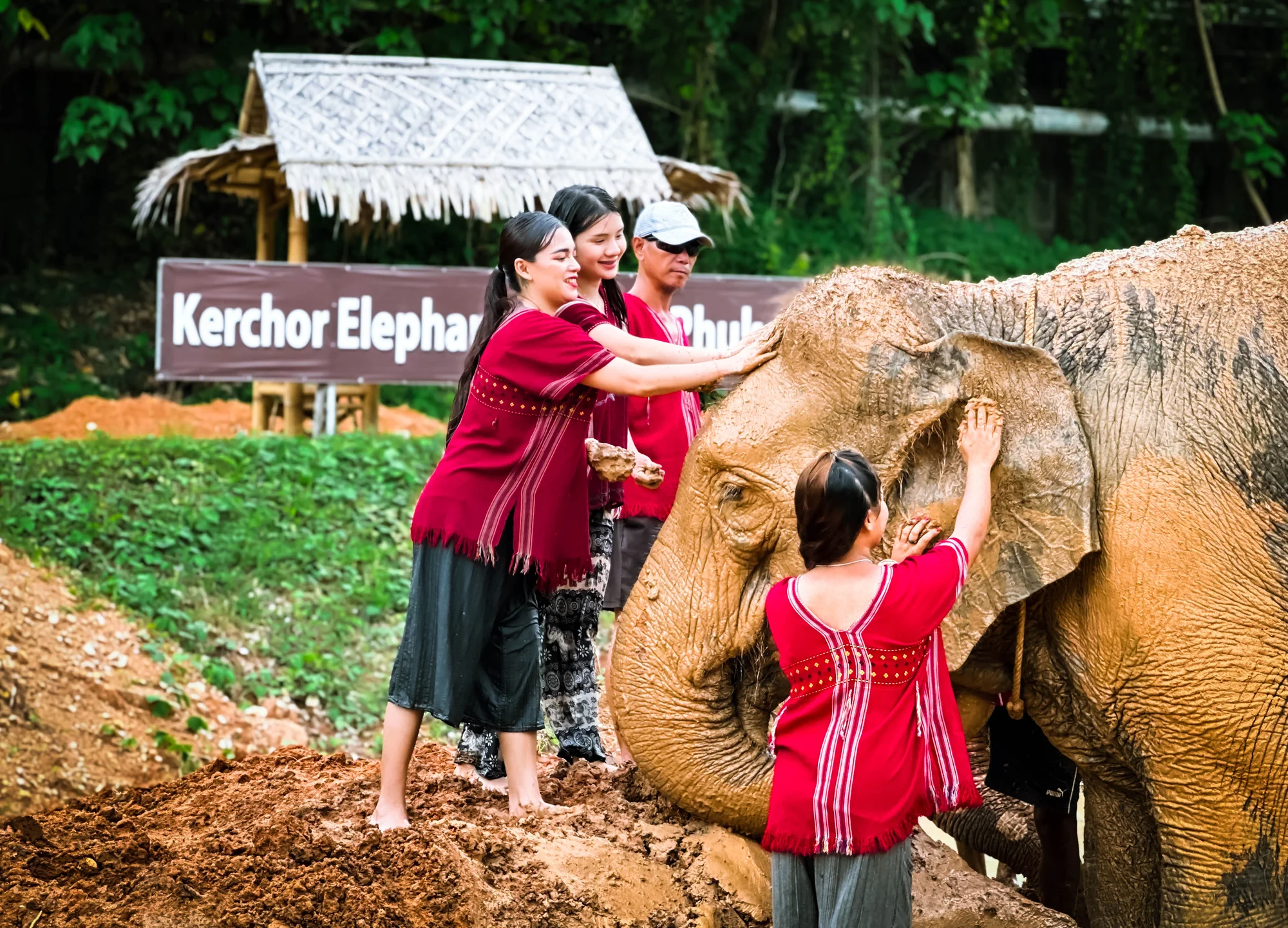 Tourists riding elephants through lush jungle in Phuket during a guided morning tour with lunch included