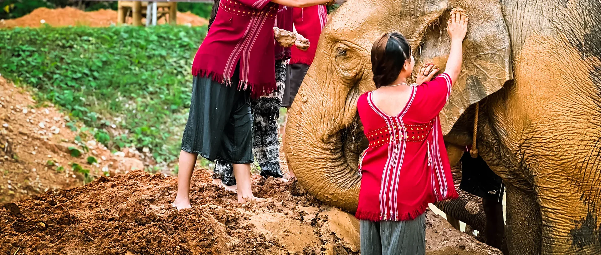 Tourists riding elephants through lush jungle in Phuket during a guided morning tour with lunch included