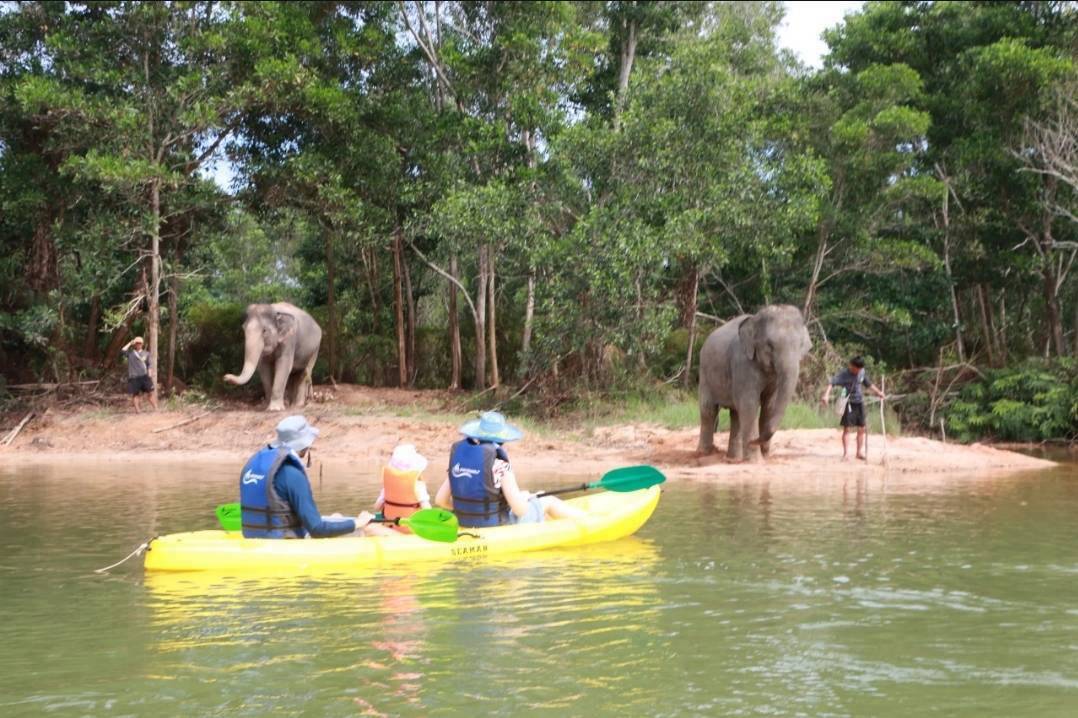 The Lake Phuket Elephant Home - Elephant Nature Walk & Explore Elephant by Kayak (Program C)  — image 4