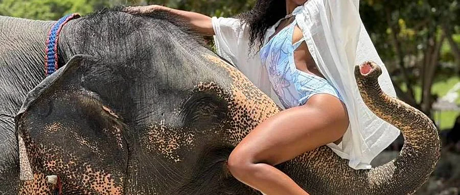 Elephant photo experience and beach ride in Phuket