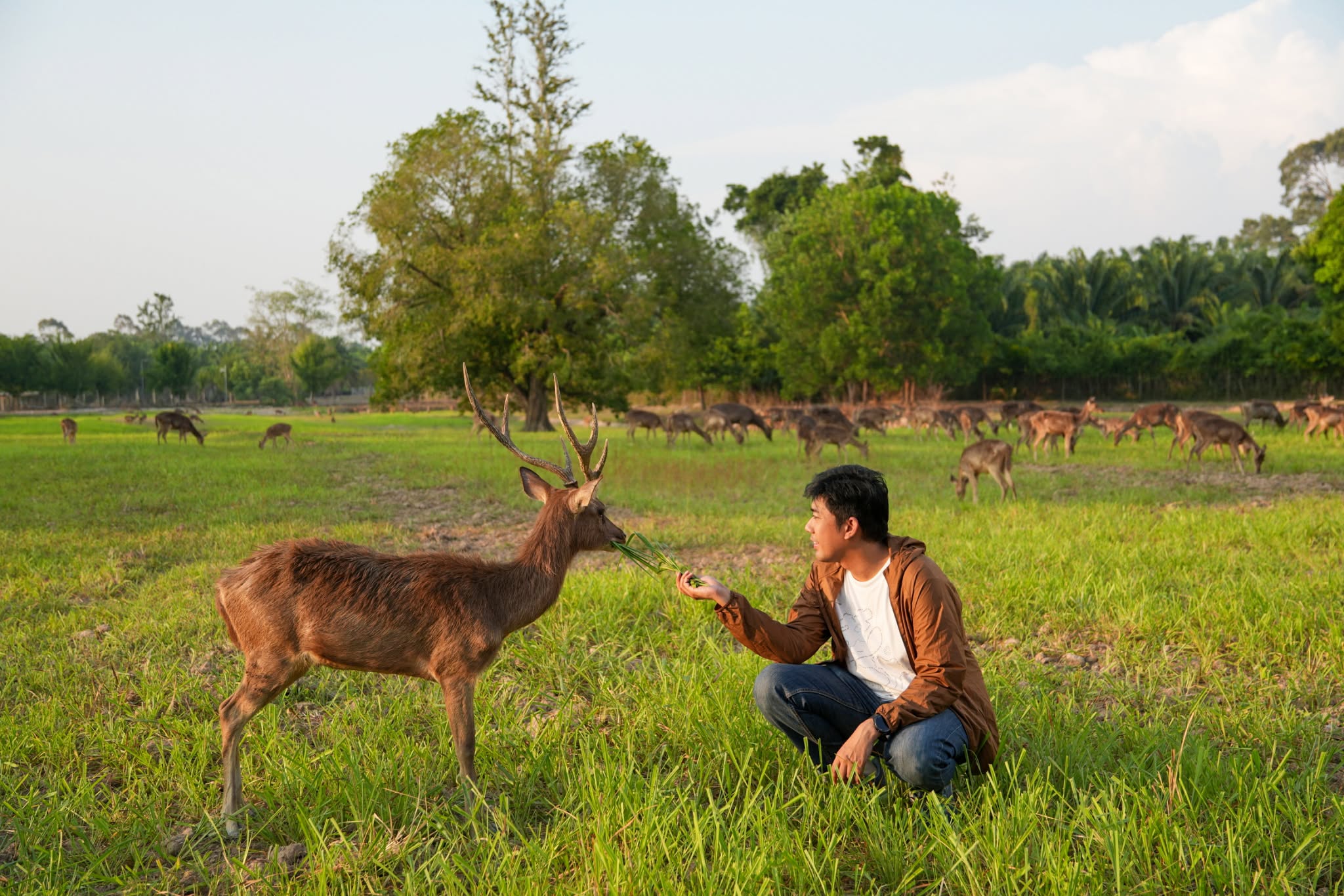 Cervidae Deer Farm (All-In Experience Farm tour + Food and Beverage) — image 18