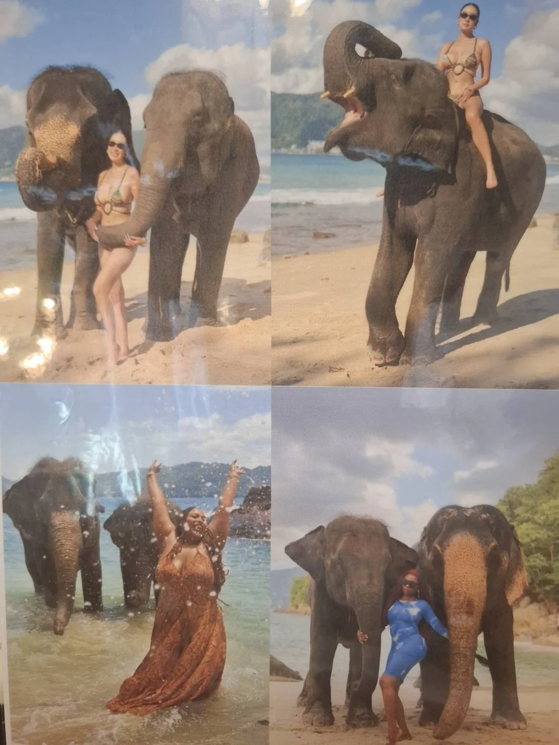 Take Photo & Ride Elephant on the Beach 15 minutes (Regular) Tri Trang + SIC Transfer (Include Entrance Fee) — image 8