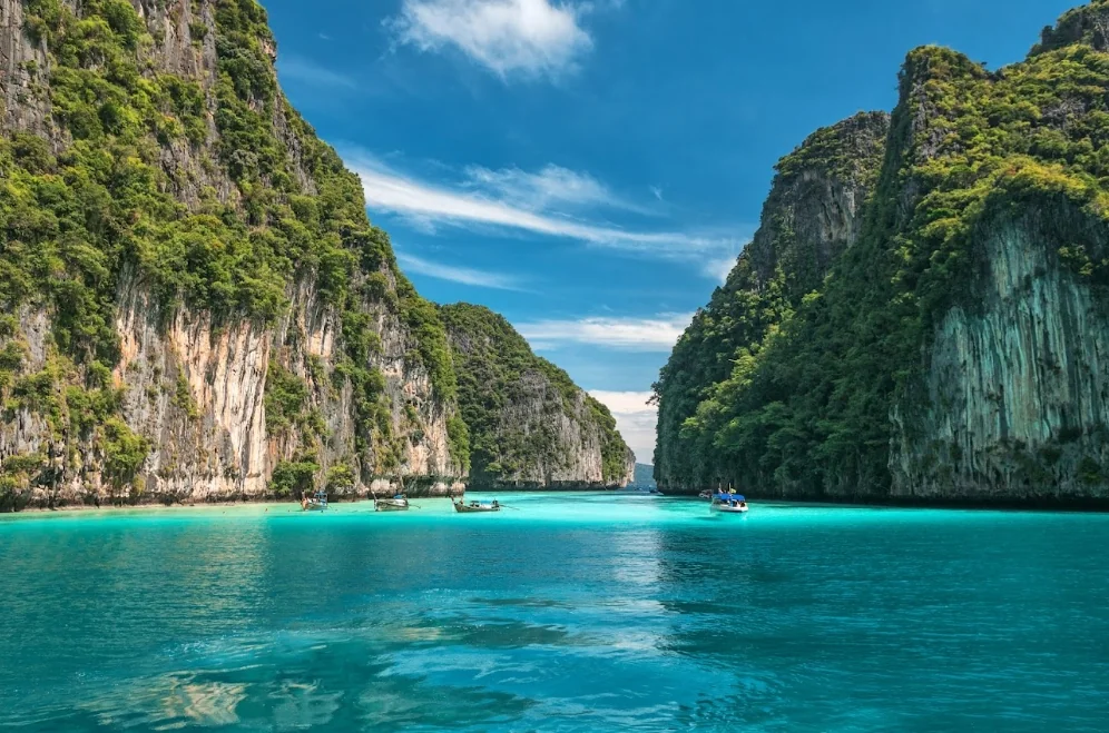 Phi Phi + James Bond + Bamboo + Khai Island One Day Trip by Speed Boat (Sawanu) + Canoe + Lunch + SIC Transfer (Include National Park Fee) — image 22