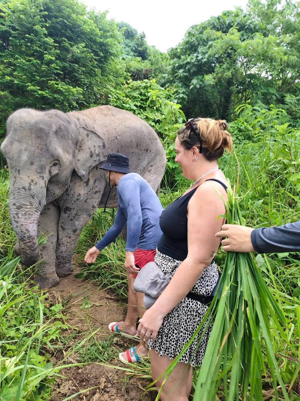 The Lake Phuket Elephant Home - FULLDAY Ethical Unforgettable Experience (Program B)  — image 14