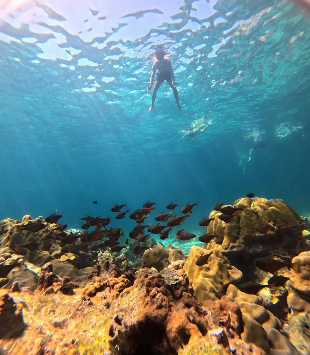 Koh Rok + Koh Ha Island Tour (By Speed Boat) + Lunch + SIC Transfer (Included National Park Fee)  — image 5