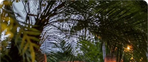 Dinosaur exhibits and park facilities at Dino Park Phuket, featured on a guided admission tour