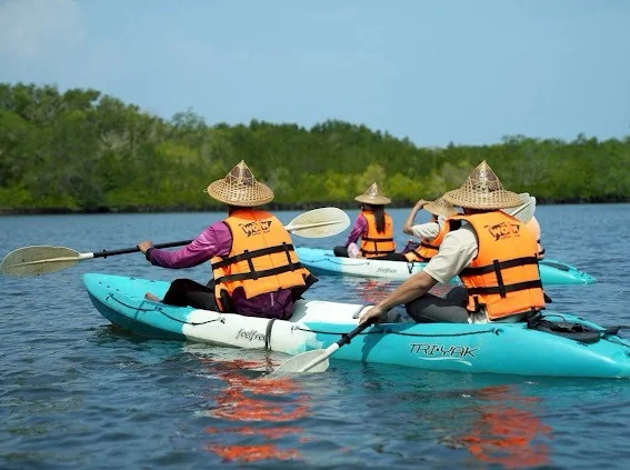 Mangrove & Local Life by Exclusive Long-tail Boat (Private Package 1-4 person) — image 4
