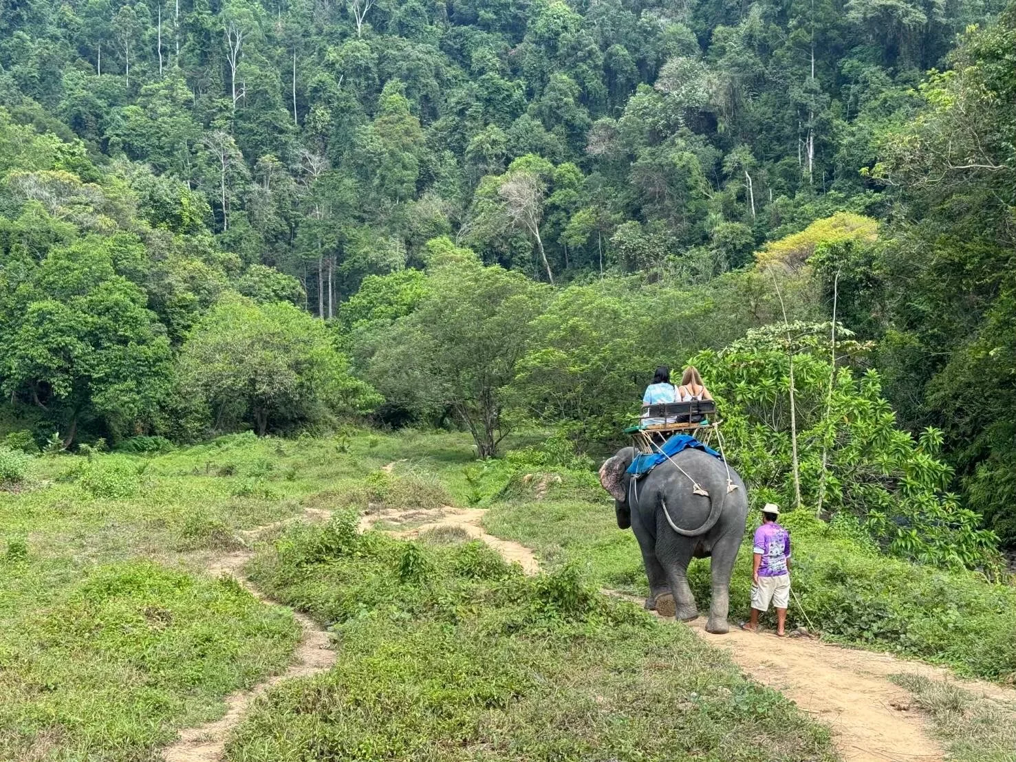 White Water Rafting 5.5 Km. + Elephant Trek 30 mins. + Waterfall + Lunch + Transfer — image 29