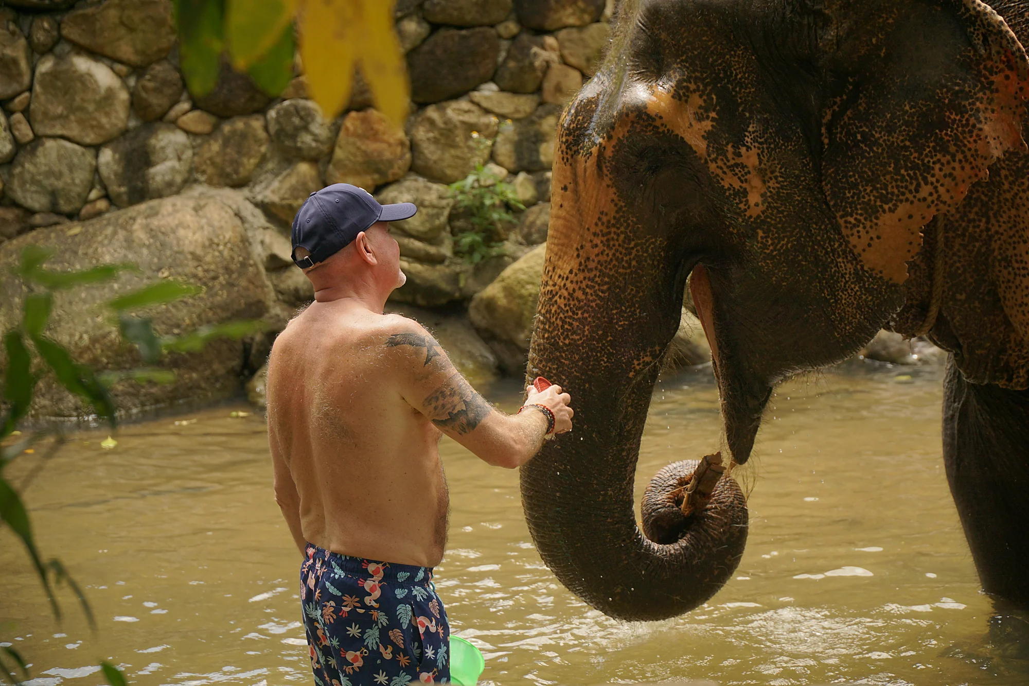 Samui Elephant Spa + Transfer  — image 15