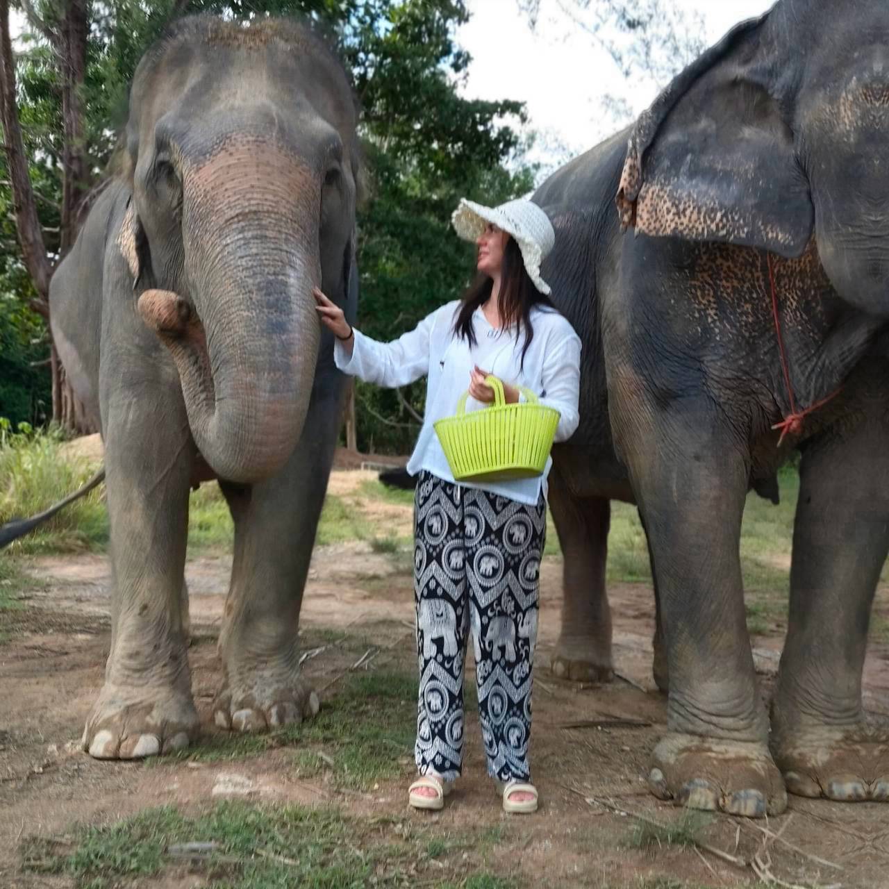The Lake Phuket Elephant Home - Half-Day a Unique Experience (Program A) — image 10