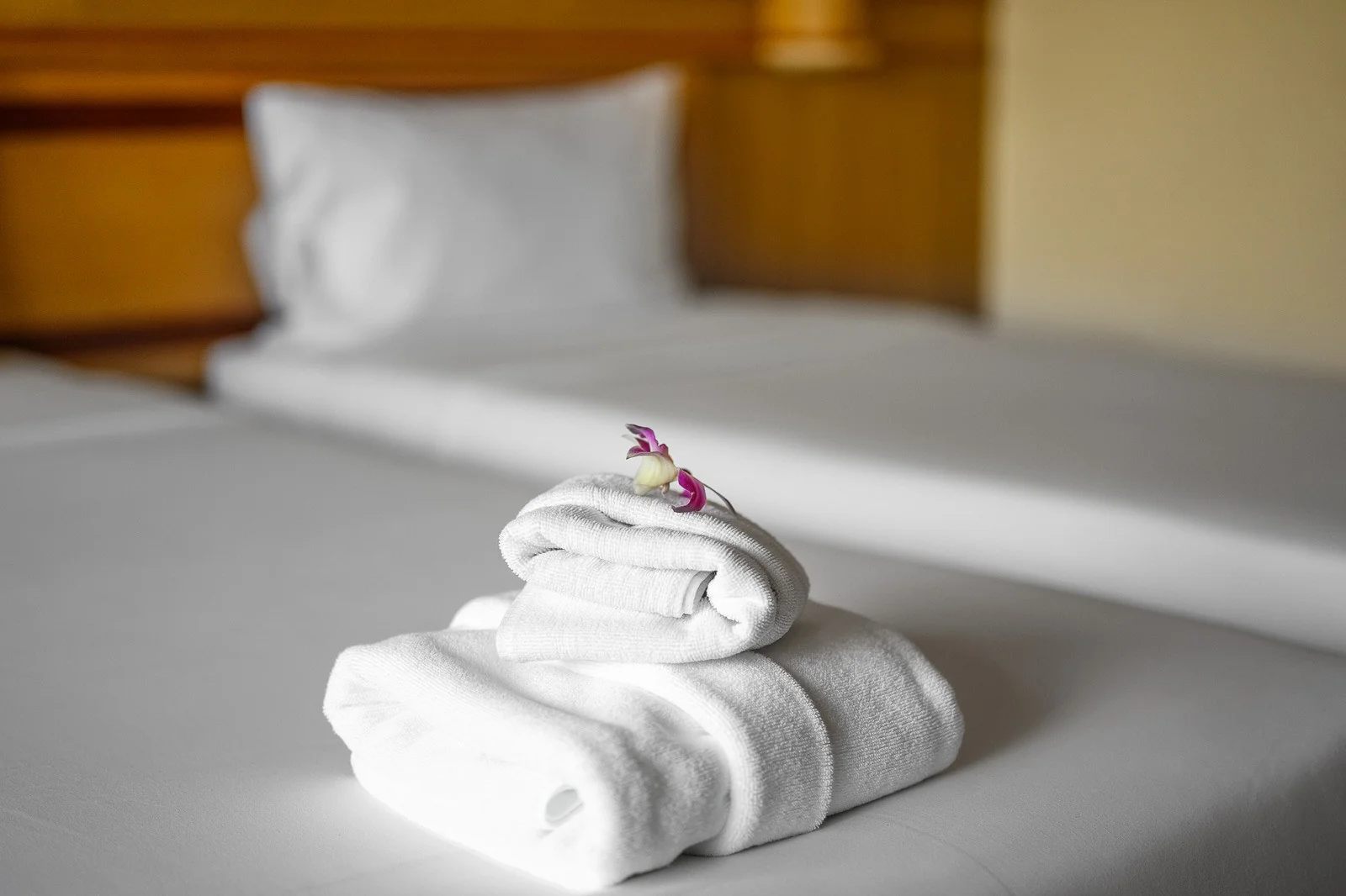 Premium Room photo 3