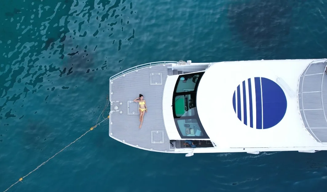 Phi Phi Island + Bamboo Island + Sunset Maiton by Speed Catamaran + Lunch + SIC Transfer & Longtail boat (Include Park Fee) — image 7