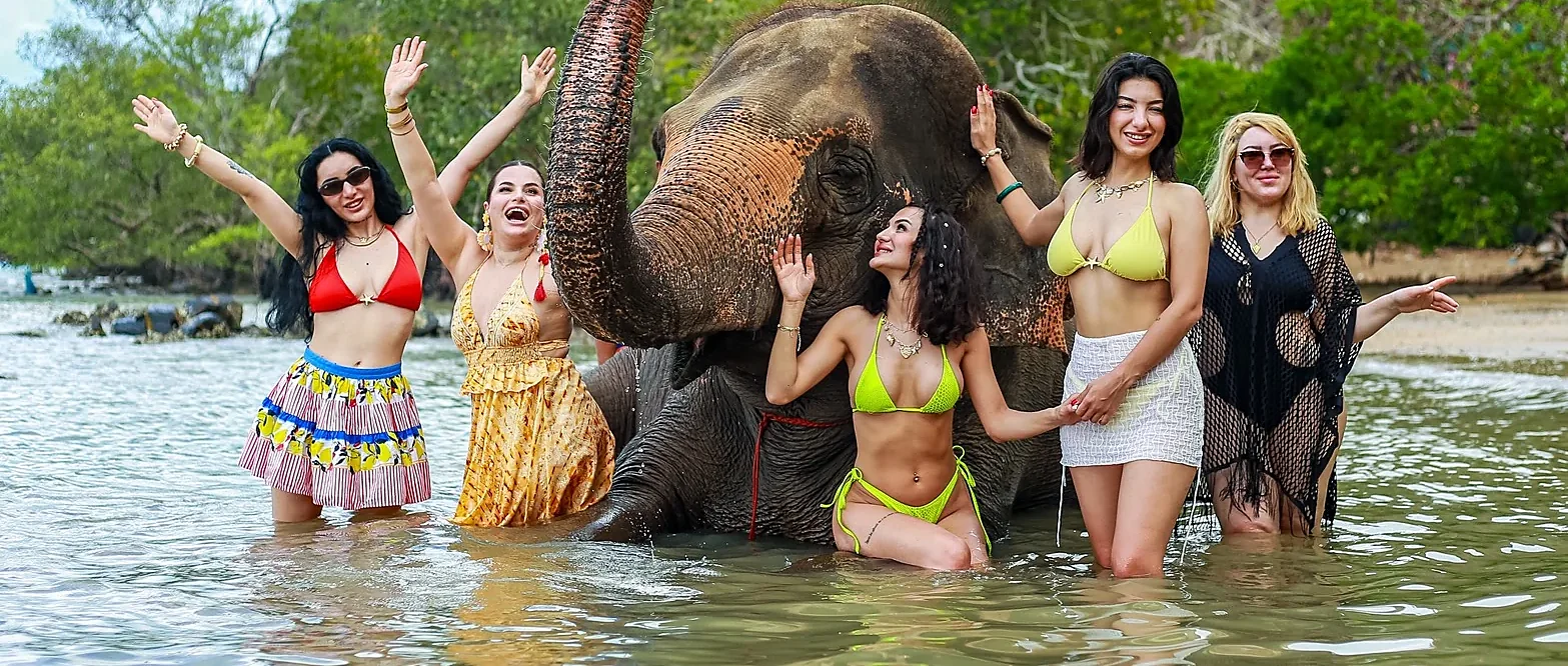 Elephant enjoying a beach visit at Siray Elephant Care Camp in Phuket