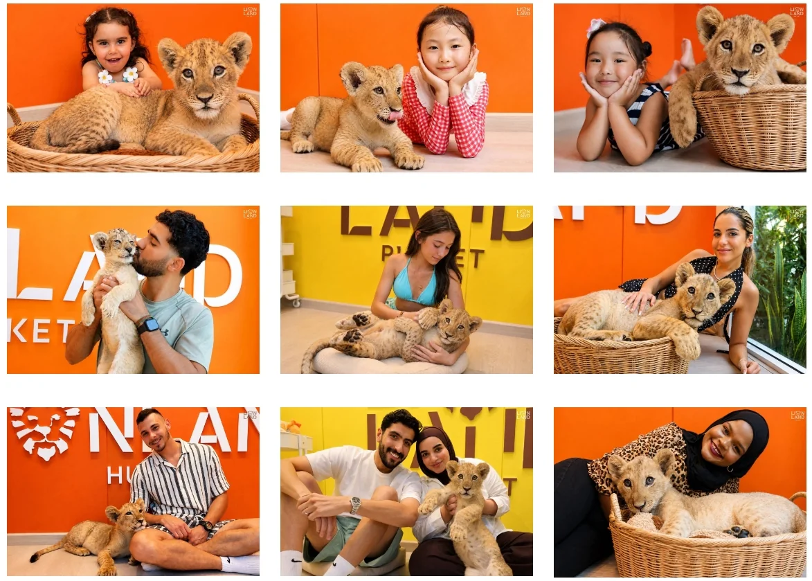 Lion Land Phuket - (Baby Lion) — image 1