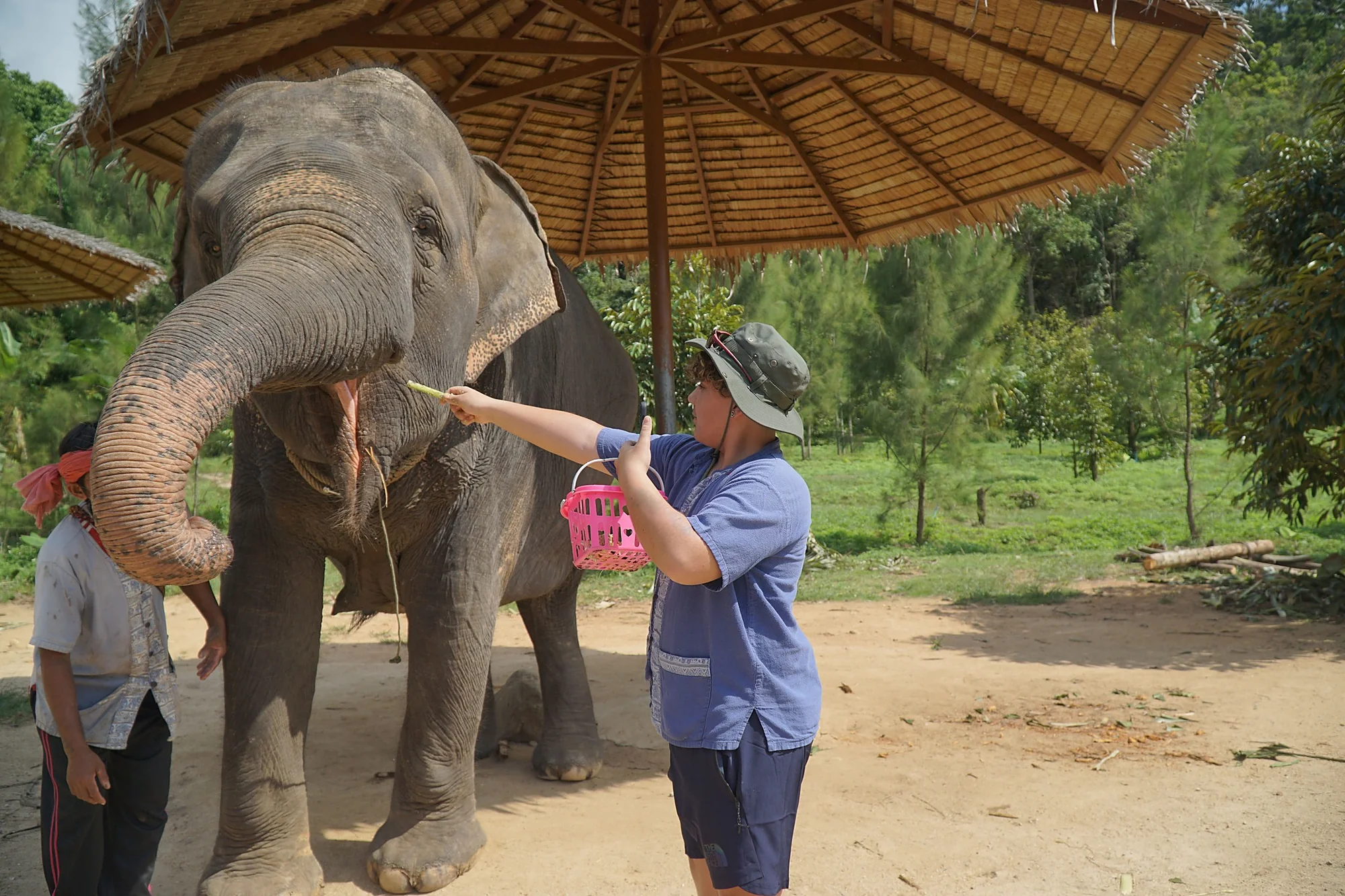 Samui Elephant Spa + Transfer  — image 11