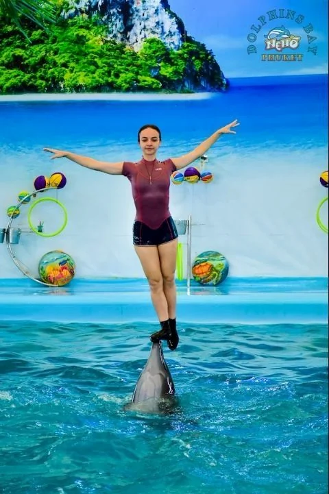 Swimming with dolphin - Free (Regular Seat) row E, F, G -  (No transfer) — image 7