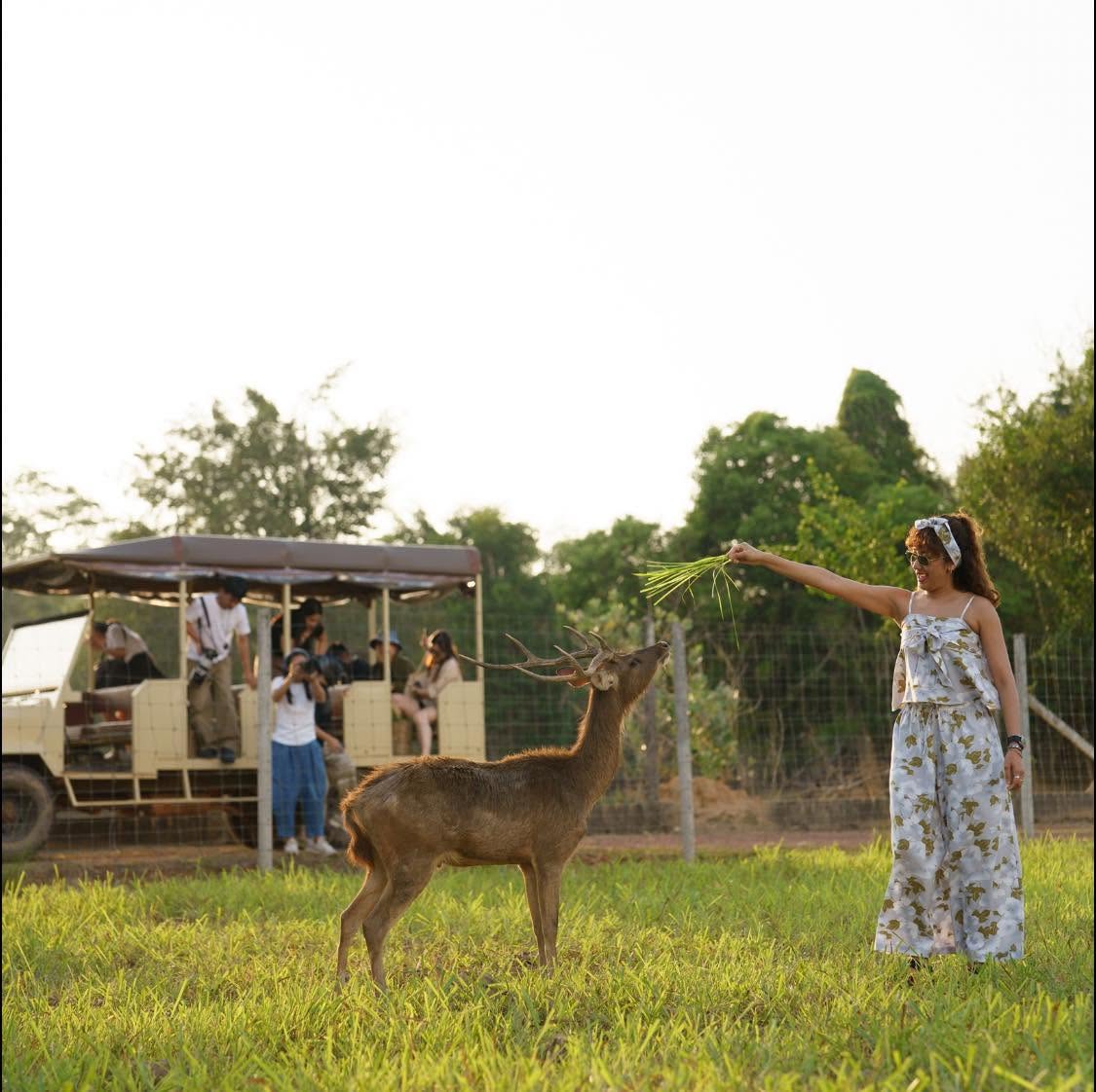 Cervidae Deer Farm (Explore Farm Tour Package) — image 16
