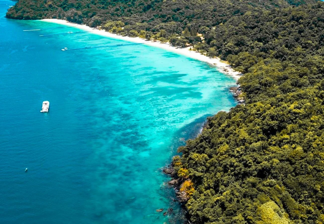 Coral Island + Racha Island (Speed Boat) + Lunch + SIC Transfer  / (Full Day) — image 4