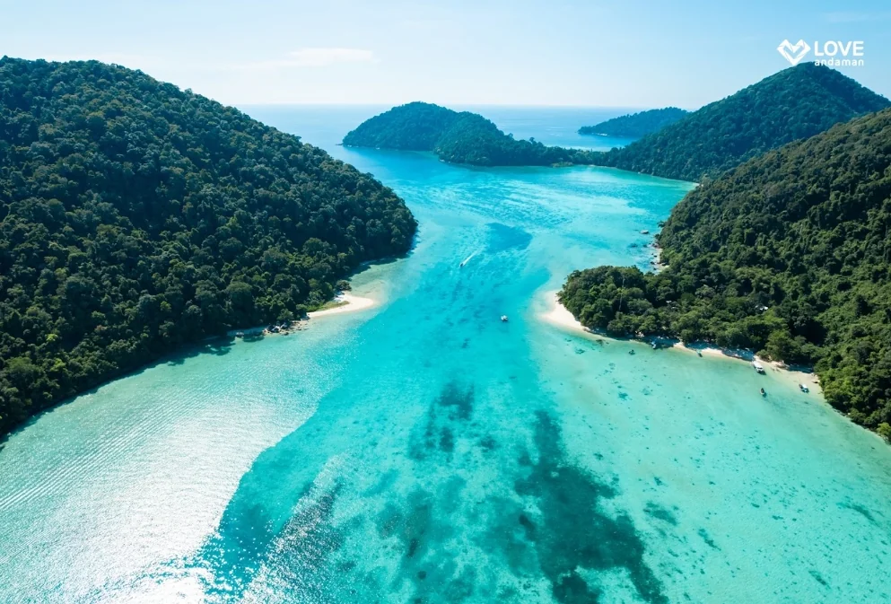 Surin Island (Speed Cantamaran) + Lunch + (National Park Fee) + SIC Transfer — image 12