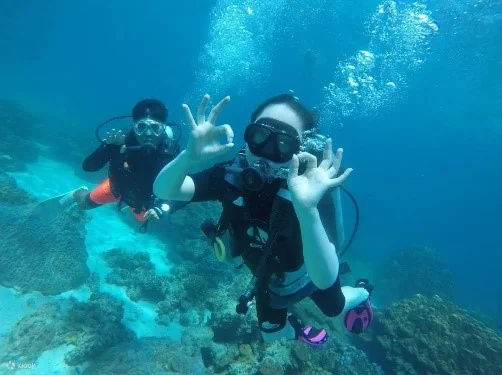 Racha Island + Coral Island + Scuba Diving + Photo & VDO Clip (by Speed Boat) + Lunch + SIC Transfer — image 1