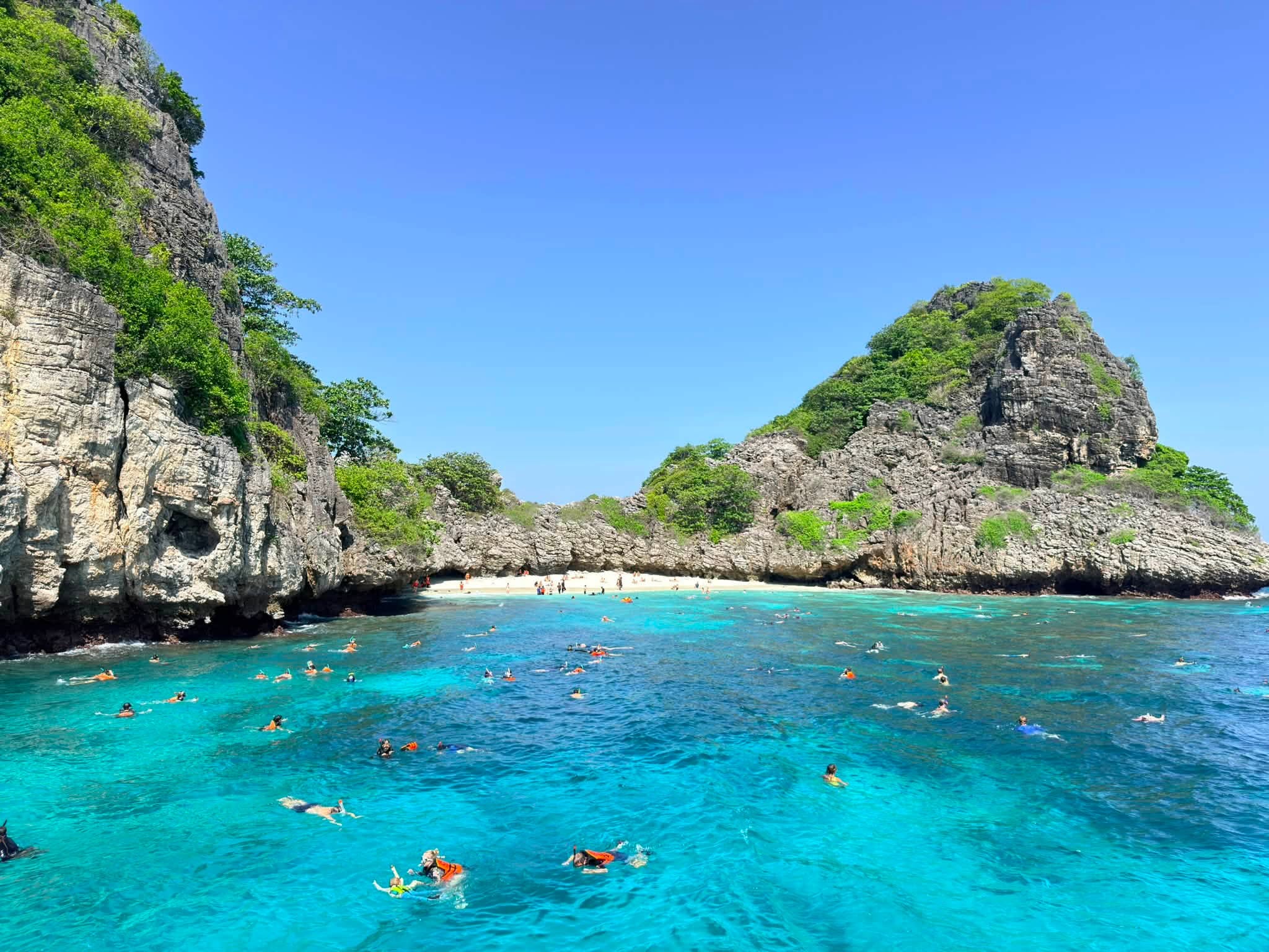 Koh Rok + Koh Ha Island Tour (By Speed Boat) + Lunch + SIC Transfer (Included National Park Fee) 