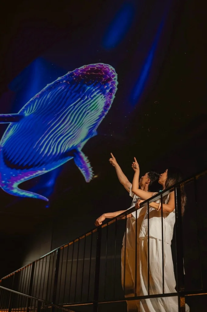 Aquaria Phuket (Underwater) + MAYA Media Art Museum Combo - (Indian Market : Nepali, Bangladeshi, Pakistani, Indian, Sri Lankan) — image 17