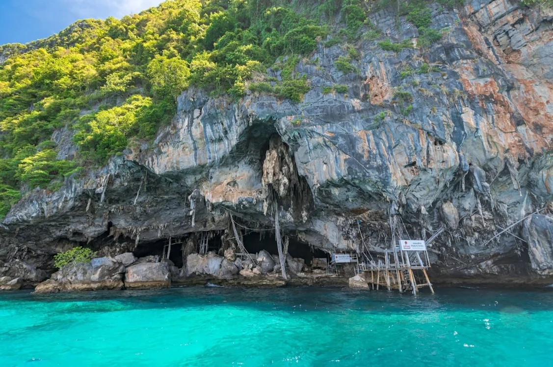 Phi Phi + Maya Bay + Khai Island (Speed Catamaran Sawanu) + Lunch + National Park Fee + (No Transfer) — image 7