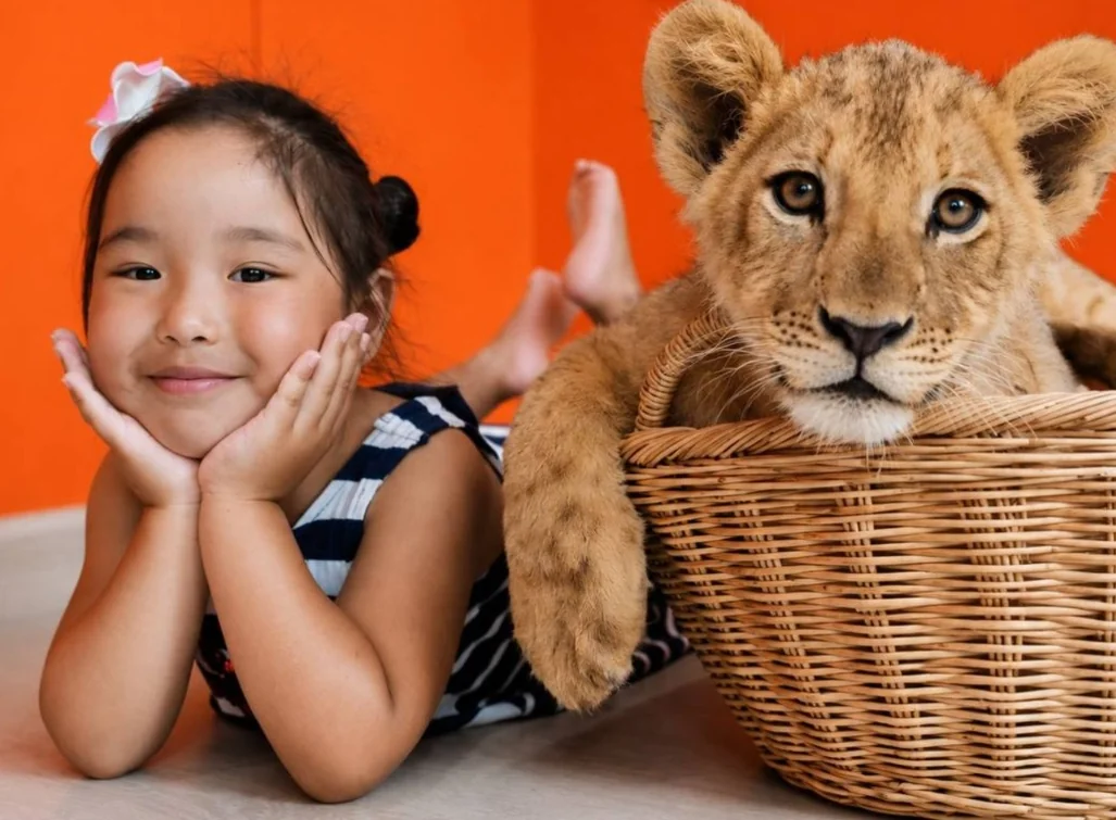 Lion Land Phuket - (Baby Lion)