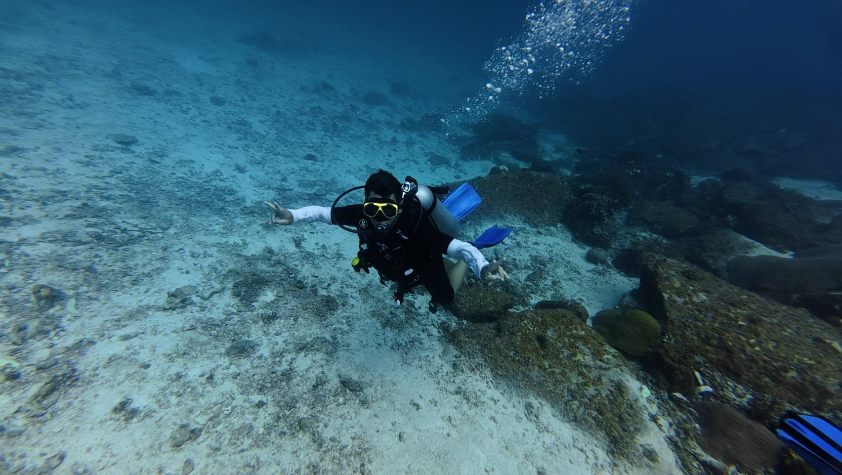 Scuba Diving - 3 Dives - (King Cruiser, Shark Point & Koh Dok Mai) - 1  Full Day Trip — image 13