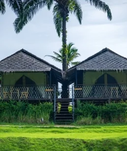 Khao Sok 2 Days 1 Night (Khaosok Jungle Discovery) (Overnight at Khaosok Discovery Camps)*minimum 2 Pax : KSL2-T — image 32