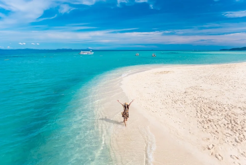 Phi Phi Island + Bamboo Island + Sunset Maiton by Speed Catamaran + Lunch + SIC Transfer & Longtail boat (Include Park Fee) — image 13