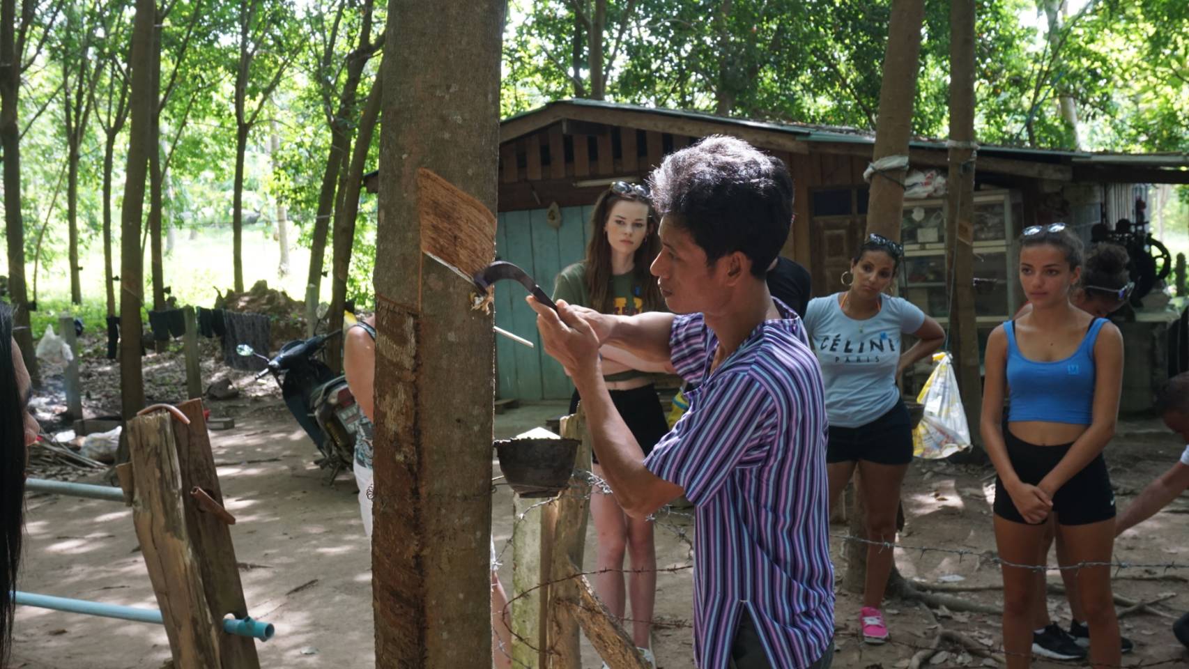 Samui Jungle Safari Tour — image 14