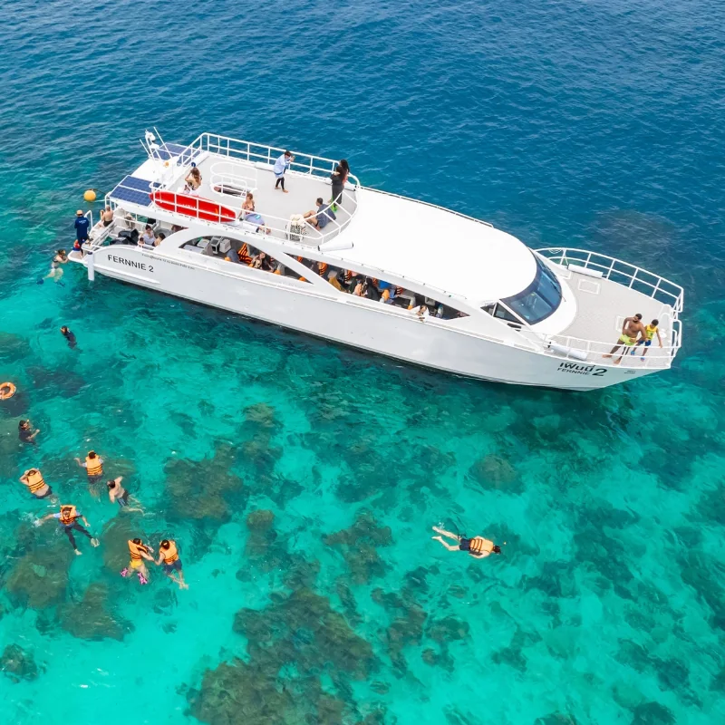 Phi Phi + Maya Bay + Khai Island (Speed Catamaran Sawanu) + Lunch + National Park Fee + (No Transfer) — image 3